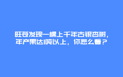 旺苍发现一棵上千年古银杏树，年产果达1吨以上，你怎么看？