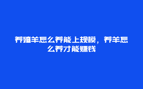 养殖羊怎么养能上规模，养羊怎么养才能赚钱