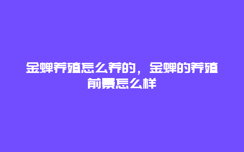 金蝉养殖怎么养的，金蝉的养殖前景怎么样