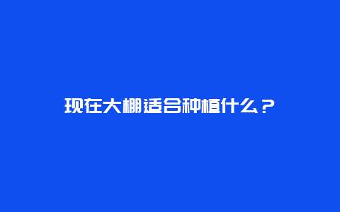 现在大棚适合种植什么？