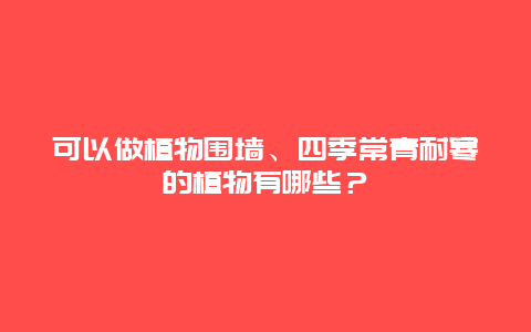 可以做植物围墙、四季常青耐寒的植物有哪些？