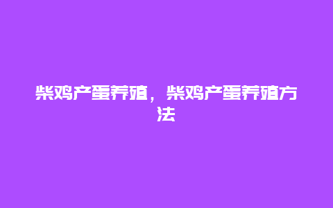 柴鸡产蛋养殖，柴鸡产蛋养殖方法