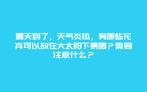 夏天到了，天气炎热，有哪些花卉可以放在大太阳下暴晒？需要注意什么？