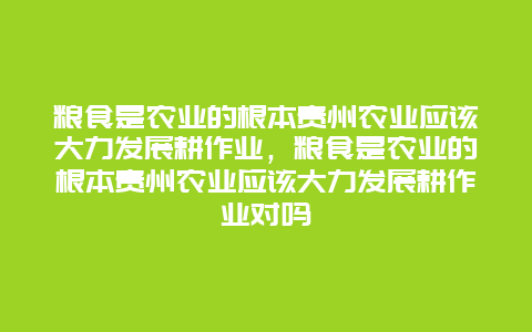 粮食是农业的根本贵州农业应该大力发展耕作业，粮食是农业的根本贵州农业应该大力发展耕作业对吗