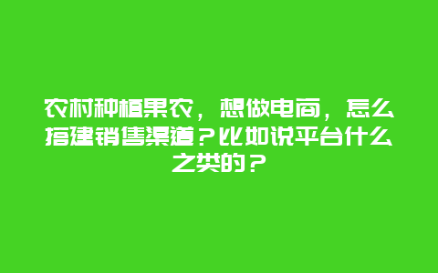 农村种植果农，想做电商，怎么搭建销售渠道？比如说平台什么之类的？