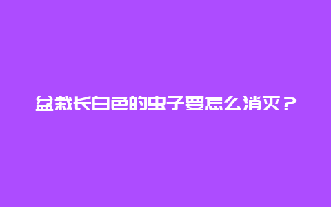 盆栽长白色的虫子要怎么消灭？