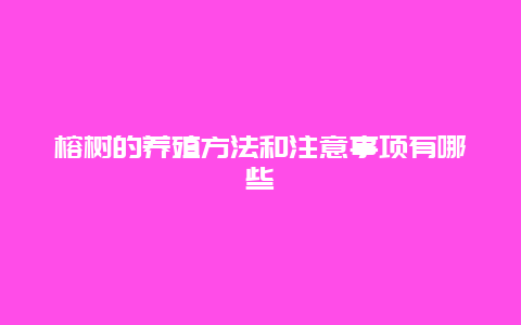 榕树的养殖方法和注意事项有哪些