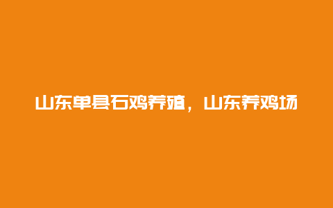 山东单县石鸡养殖，山东养鸡场