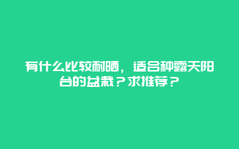 有什么比较耐晒，适合种露天阳台的盆栽？求推荐？