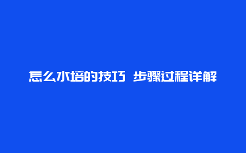 怎么水培的技巧 步骤过程详解