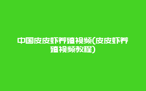 中国皮皮虾养殖视频(皮皮虾养殖视频教程)