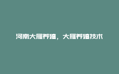 河南大雁养殖，大雁养殖技术