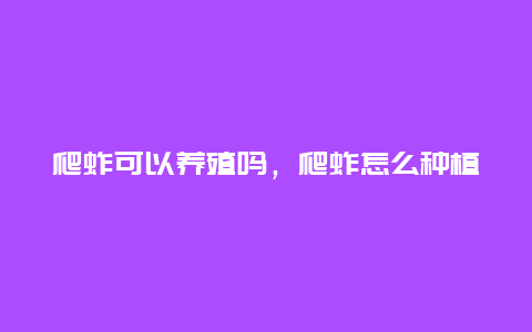 爬蚱可以养殖吗，爬蚱怎么种植