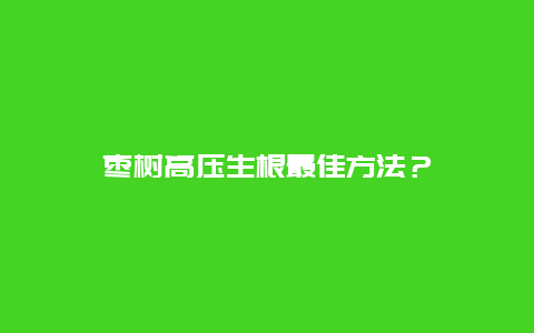 枣树高压生根最佳方法？