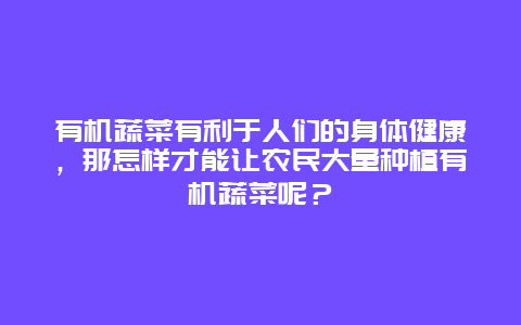 有机蔬菜有利于人们的身体健康，那怎样才能让农民大量种植有机蔬菜呢？