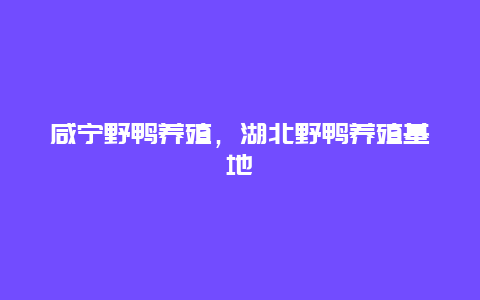 咸宁野鸭养殖，湖北野鸭养殖基地