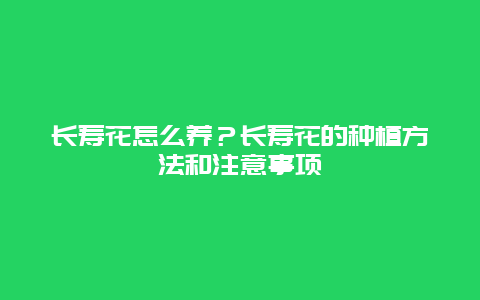 长寿花怎么养？长寿花的种植方法和注意事项