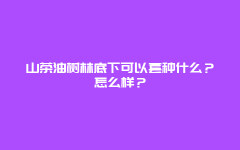 山茶油树林底下可以套种什么？怎么样？