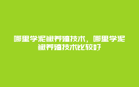 哪里学泥鳅养殖技术，哪里学泥鳅养殖技术比较好