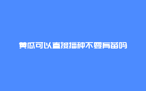 黄瓜可以直接播种不要育苗吗