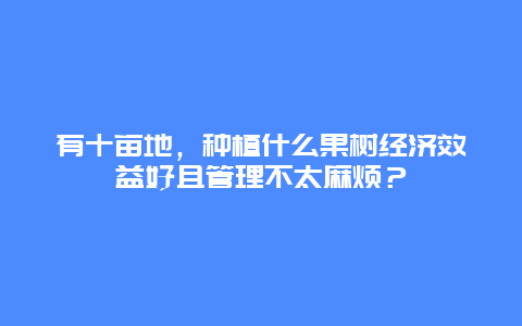 有十亩地，种植什么果树经济效益好且管理不太麻烦？