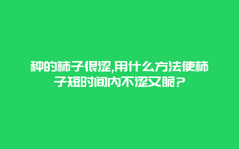 种的柿子很涩,用什么方法使柿子短时间内不涩又脆?