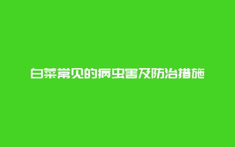 白菜常见的病虫害及防治措施