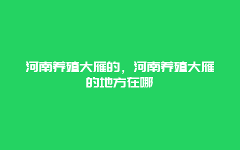 河南养殖大雁的，河南养殖大雁的地方在哪