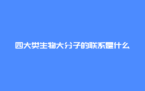 四大类生物大分子的联系是什么