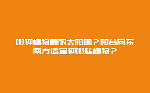 哪种植物最耐太阳晒？阳台向东南方适宜种哪些植物？