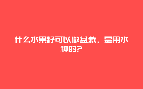 什么水果籽可以做盆栽，是用水种的?