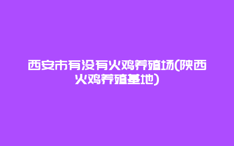 西安市有没有火鸡养殖场(陕西火鸡养殖基地)