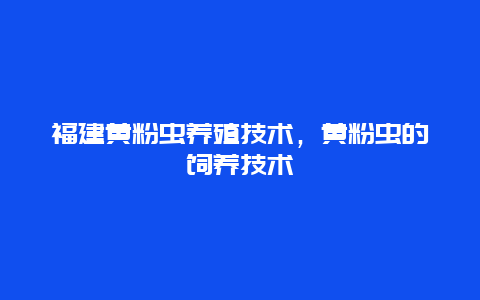 福建黄粉虫养殖技术，黄粉虫的饲养技术