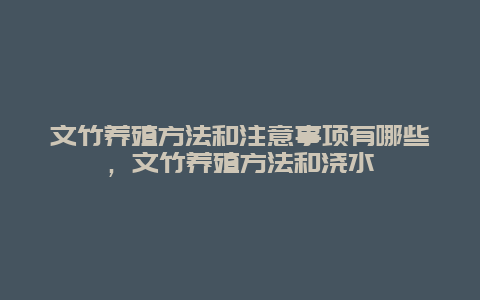 文竹养殖方法和注意事项有哪些，文竹养殖方法和浇水