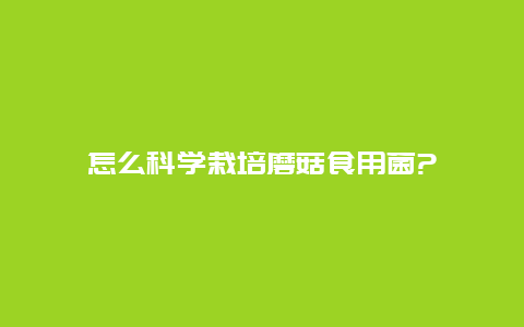 怎么科学栽培磨菇食用菌?