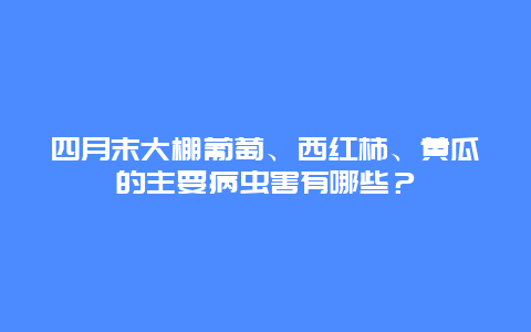 四月末大棚葡萄、西红柿、黄瓜的主要病虫害有哪些？