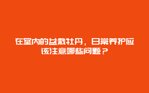 在室内的盆栽牡丹，日常养护应该注意哪些问题？