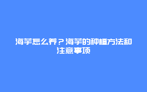 海芋怎么养？海芋的种植方法和注意事项