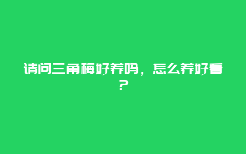 请问三角梅好养吗，怎么养好看？