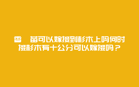 香榧苗可以嫁接到杉木上吗何时接杉木有十公分可以嫁接吗？