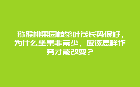 猕猴桃果园枝繁叶茂长势很好，为什么坐果非常少，应该怎样作务才能改变？