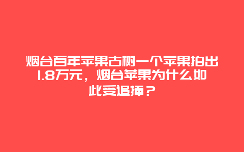 烟台百年苹果古树一个苹果拍出1.8万元，烟台苹果为什么如此受追捧？