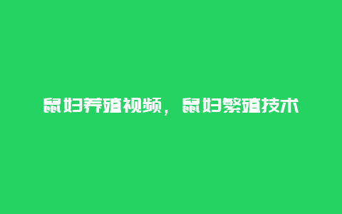 鼠妇养殖视频，鼠妇繁殖技术