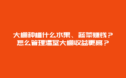 大棚种植什么水果、蔬菜赚钱？怎么管理温室大棚收益更高？