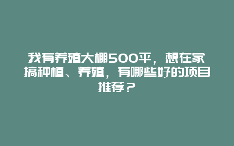 我有养殖大棚500平，想在家搞种植、养殖，有哪些好的项目推荐？