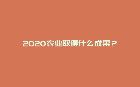 2020农业取得什么成果？