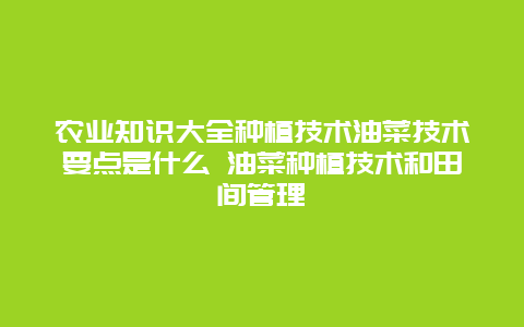 农业知识大全种植技术油菜技术要点是什么 油菜种植技术和田间管理