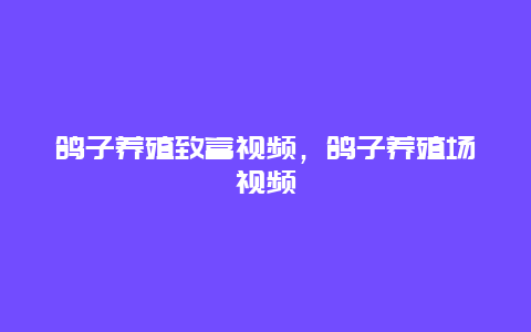 鸽子养殖致富视频，鸽子养殖场视频