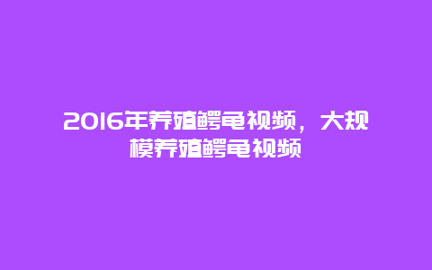 2016年养殖鳄龟视频，大规模养殖鳄龟视频