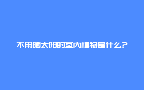 不用晒太阳的室内植物是什么?